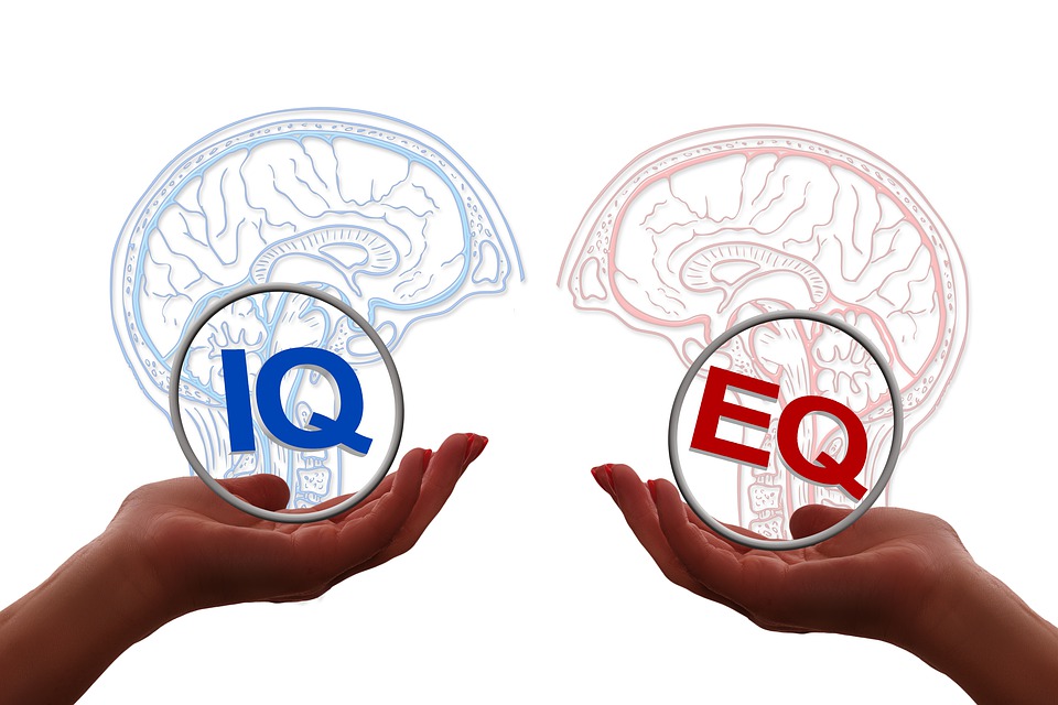 IQ virus EQ understand yourself and communicate your feelings